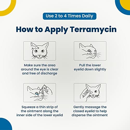 Instructions on how to apply Terramycin ointment to a cat's eye.