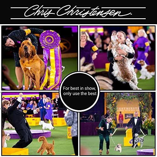 Collage of dogs and handlers at a dog show with a ribbon.