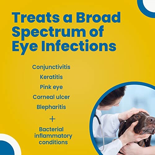 Eye infection treatments listed with a veterinarian examining a dog.