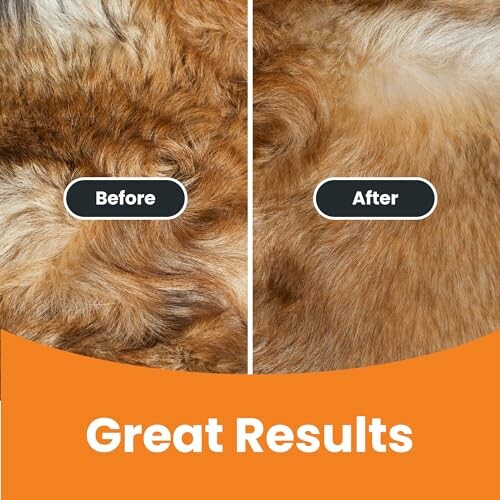 Comparison of fur texture before and after cleaning