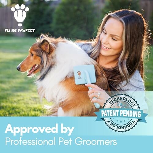 Woman grooming a dog with a pet brush in a backyard.