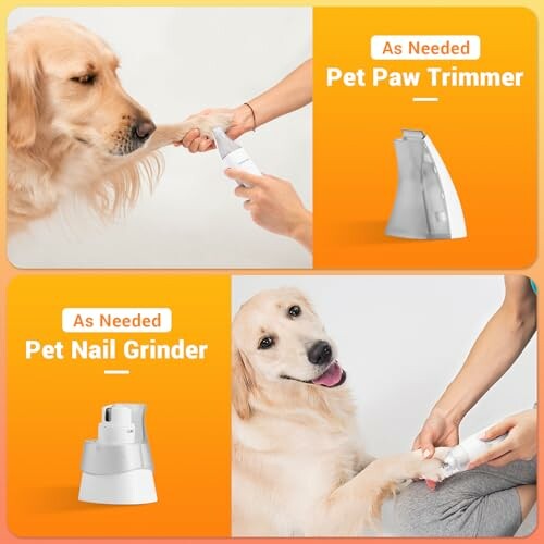 Pet paw trimmer and nail grinder being used on a golden retriever.